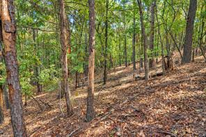 00 Off of County Road 448 - Photo 21