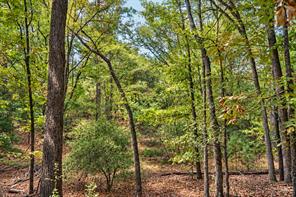00 Off of County Road 448 - Photo 25