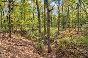 00 Off of County Road 448 - Photo 29