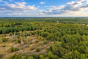 00 Off of County Road 448 - Photo 3