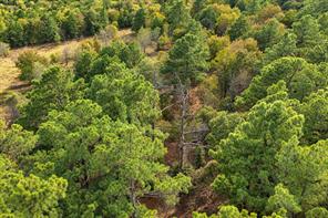 00 Off of County Road 448 - Photo 30
