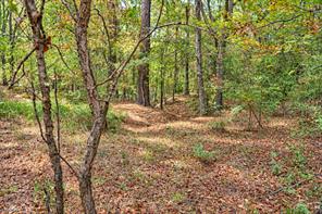 00 Off of County Road 448 - Photo 31