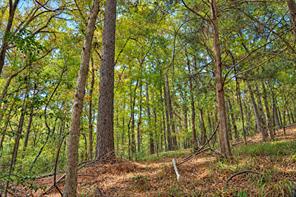 00 Off of County Road 448 - Photo 4