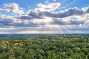00 Off of County Road 448 - Photo 5
