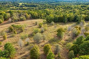 00 Off of County Road 448 - Photo 6
