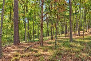 00 Off of County Road 448 - Photo 7