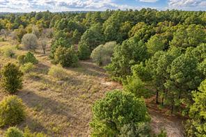 00 Off of County Road 448 - Photo 8