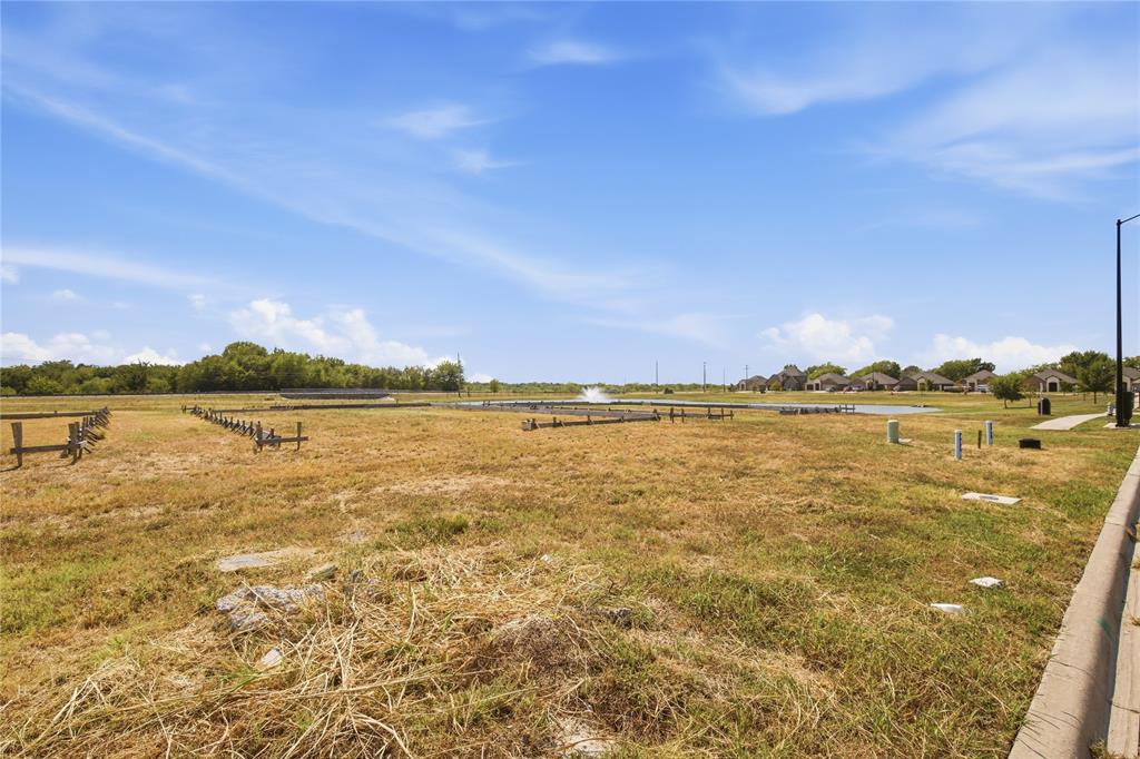 805 Greyson Lane - Photo 3