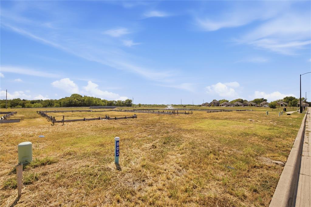 803 Greyson Lane - Photo 1
