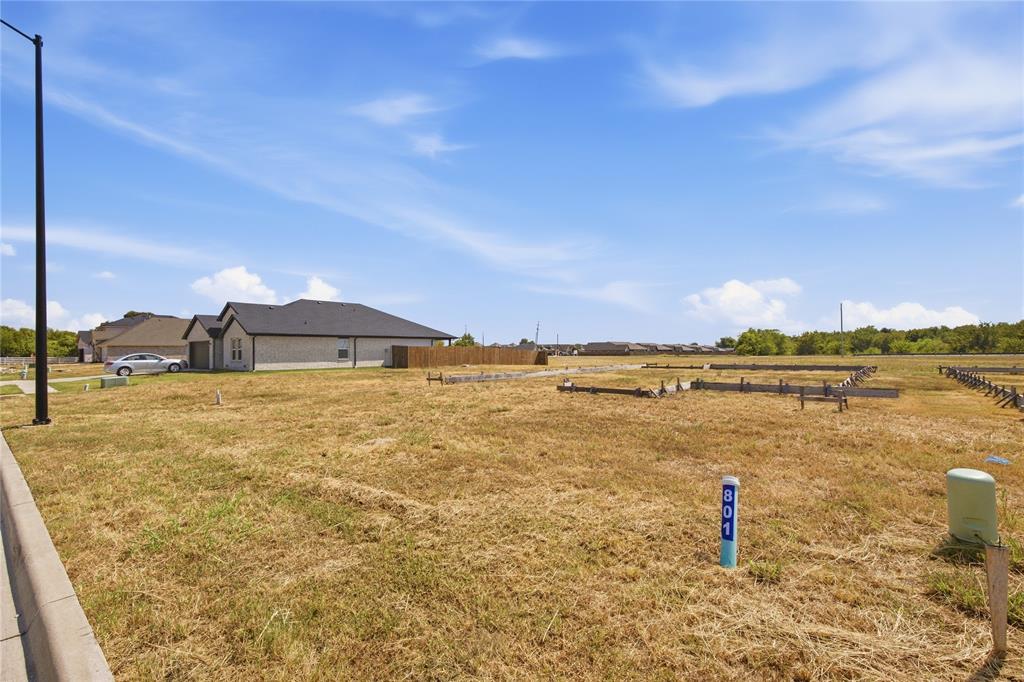 801 Greyson Lane - Photo 2