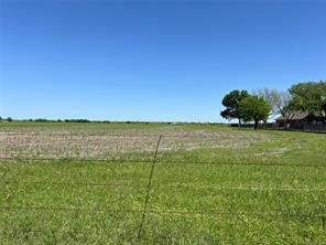11.57 acres Tract 4 FM 1722 - Photo 4