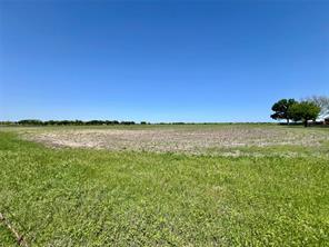 11.57 acres Tract 4 FM 1722 - Photo 5