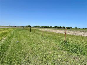 11.57 acres Tract 4 FM 1722 - Photo 6