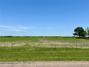 11.57 acres Tract 4 FM 1722 - Photo 7