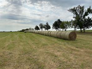178 Williams Road - Photo 3