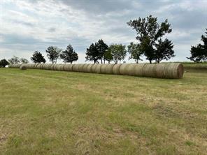 178 Williams Road - Photo 4