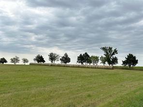178 Williams Road - Photo 6