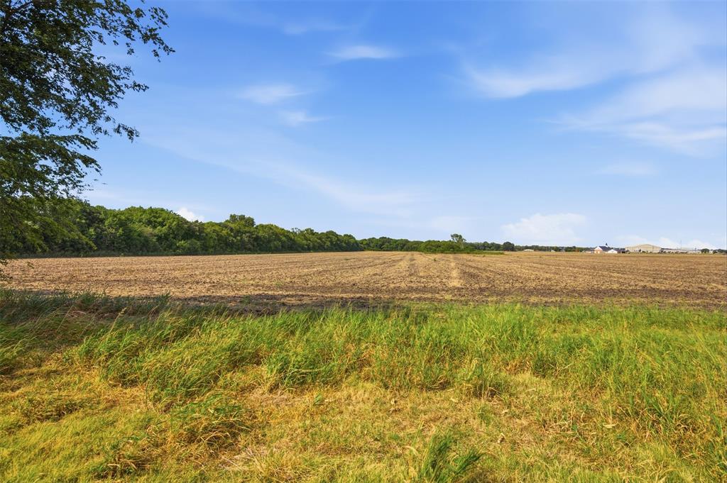 661 Fm 902 - Photo 4