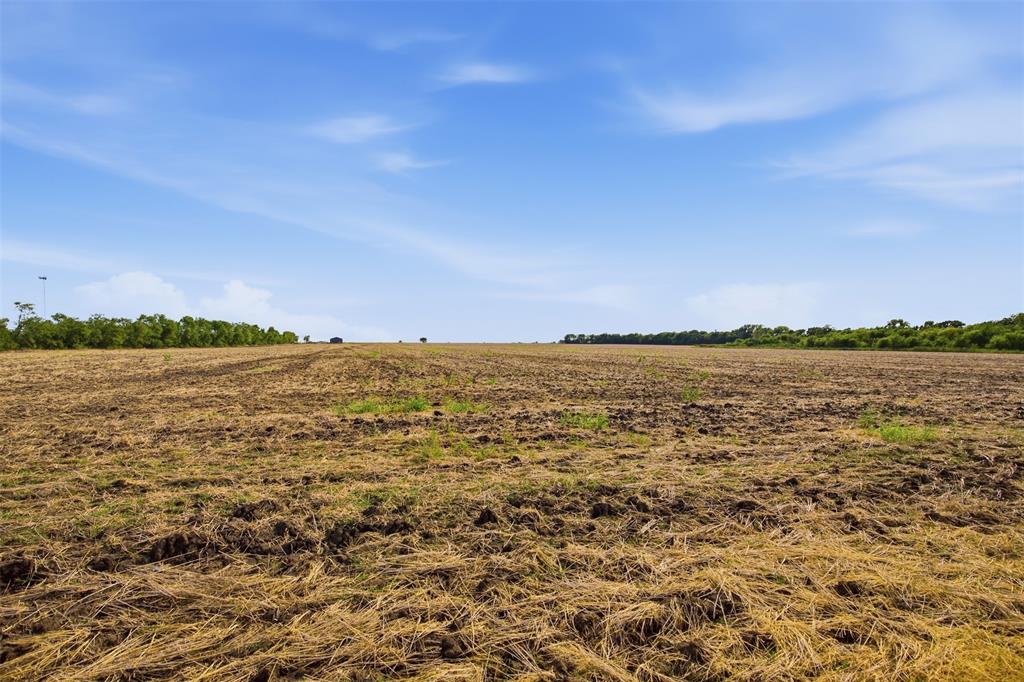 661 Fm 902 - Photo 7
