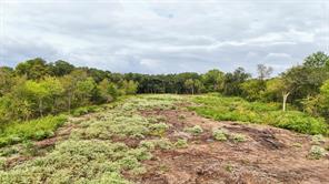 0 Ed Hardin Lane - Photo 13
