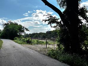 0 Ed Hardin Lane - Photo 14