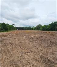0 Ed Hardin Lane - Photo 15