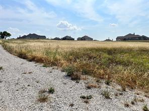 7405 Autumn Grove Lane - Photo 3