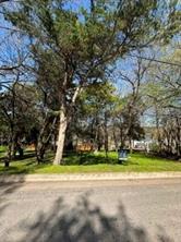 603 W Red Bird Lane - Photo 2