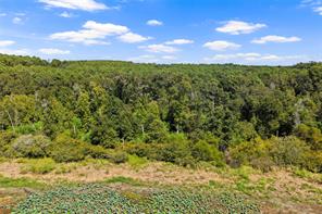 TBD WILLOW POINT MARINA RD - Photo 16