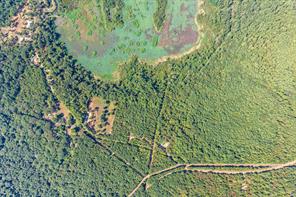 TBD WILLOW POINT MARINA RD - Photo 3