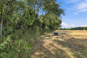 177 Country Place Lane - Photo 12