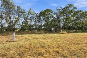 177 Country Place Lane - Photo 2