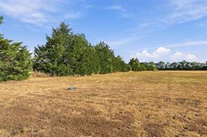 177 Country Place Lane - Photo 3