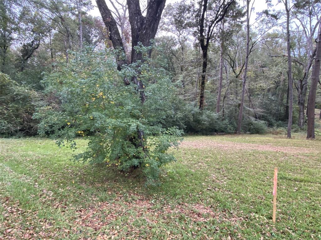 700 Hutchins - Photo 1