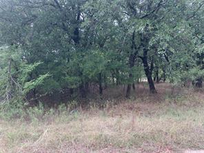 Lot3 Blk12 Lindsey Lane - Photo 11
