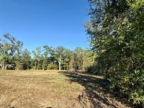 705 41st Street SW - Photo 7