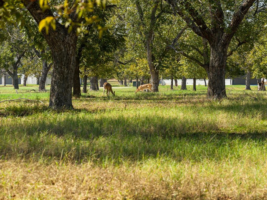 2013 Skylane Drive - Photo 20