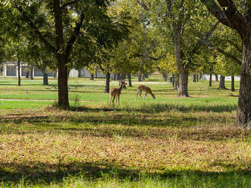 2013 Skylane Drive - Photo 23