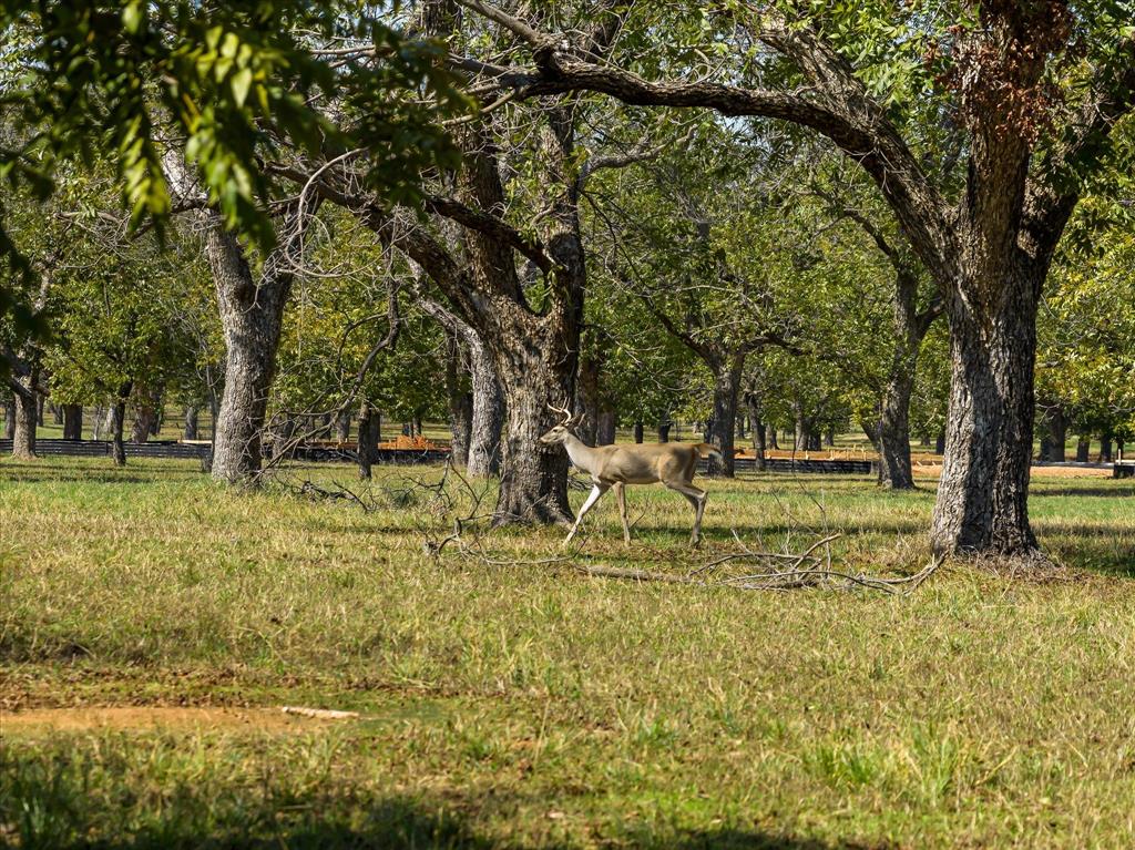 2013 Skylane Drive - Photo 24