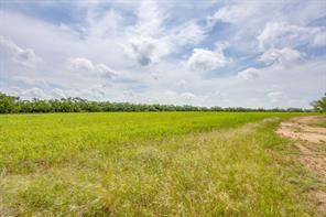 1053 FM 503 - Photo 21