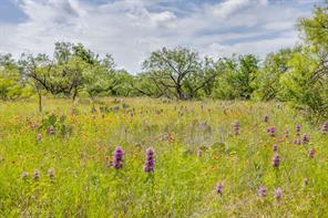 1053 FM 503 - Photo 22