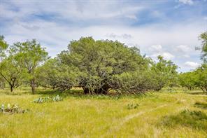 1053 FM 503 - Photo 25