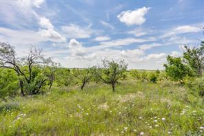 1053 FM 503 - Photo 32