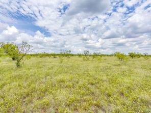 1053 FM 503 - Photo 34