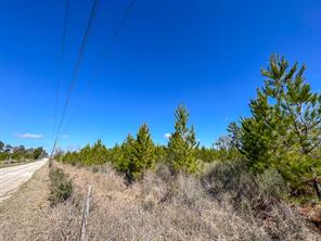 0 Wallace Road - Photo 6