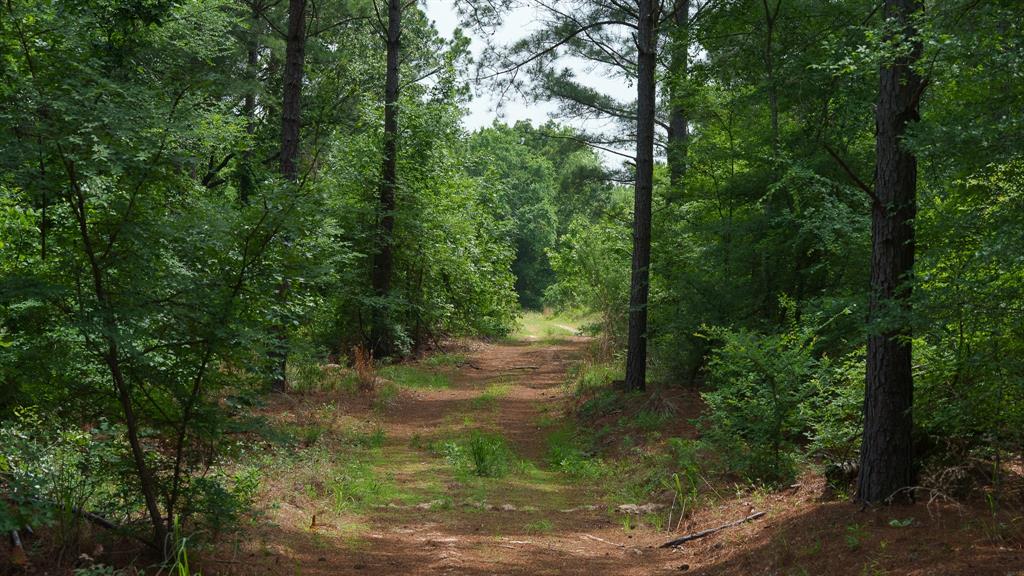 TBD State Highway 64 - Photo 1
