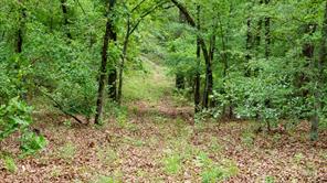 TBD State Highway 64 - Photo 10