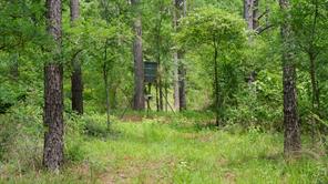 TBD State Highway 64 - Photo 12