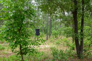 TBD State Highway 64 - Photo 15