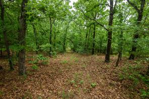 TBD State Highway 64 - Photo 16